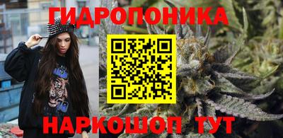 a pvp Гусь-Хрустальный